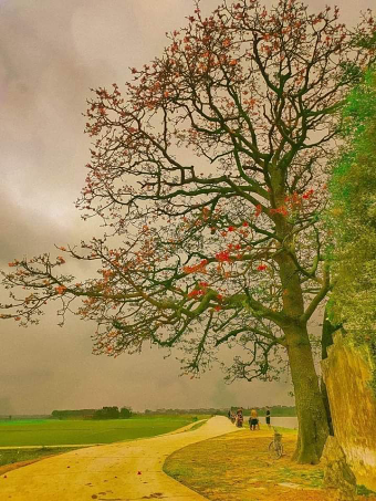 country scene
