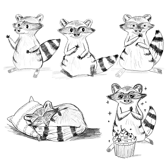 Raccoon Character Design