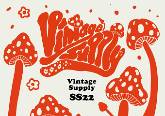 Fashion graphic for Vintage Supply SS22