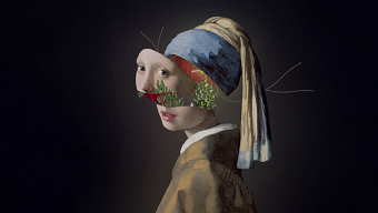 Cutout animation - The Girl with the Pearl Earring