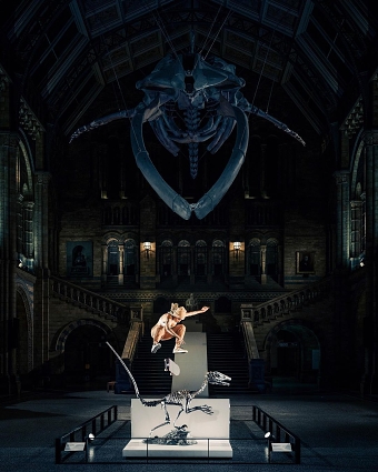 Capturing Pro-skaters with Red Bull and Canon at the Natural History Museum