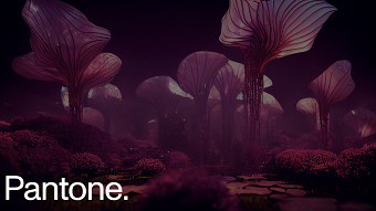 Pantone The Magentaverse