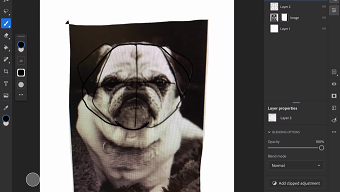 Dog Illustration
