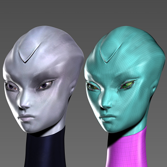 3D Models