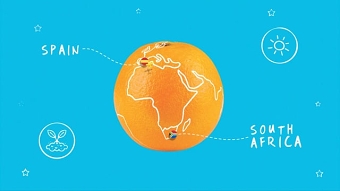 Jaffa - Juicy Oranges - Explainer Video