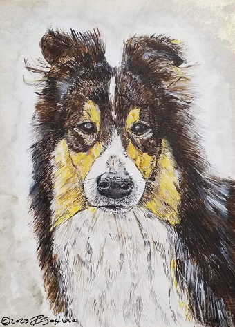 Animal portraits
