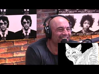 Joe Rogan Experience - Dave Anderson Review