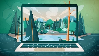Better Place Forests. How it works