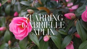 Gabrielle Aplin x Hello! Fashion