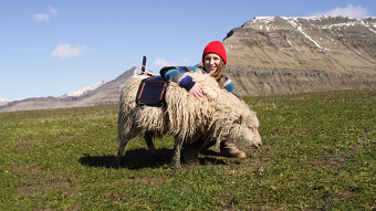 Google Sheep View