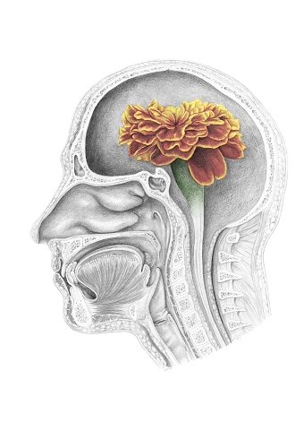 Medical Illustration with the Bhopal Medical Appeal