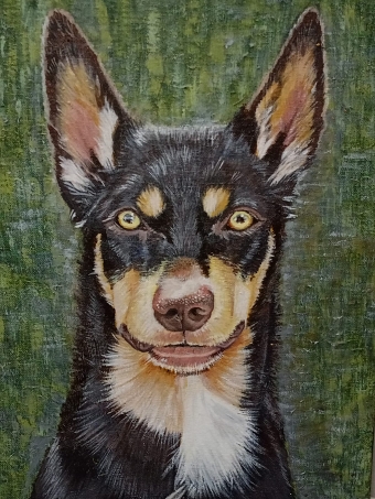 Portraits of dogs