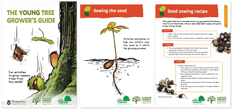 The Young Tree Grower’s Guide