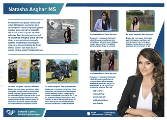Branding and marketing for Natasha Asghar Conservative MP for Wales