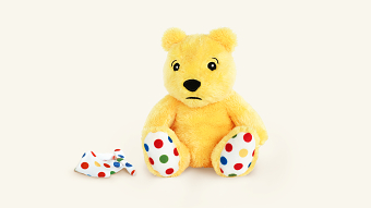 Patchless Pudsey