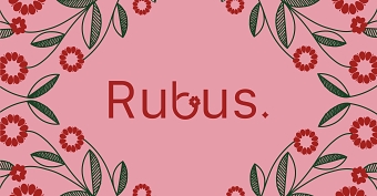 Rubus: Raspberry Whisky Cocktail Cans