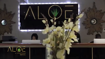 Business Commercial Aloe Lifestyle Hotel