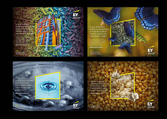 EY - Reframe Your Future