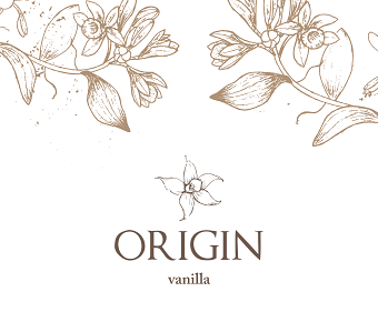 Origin - Branding & Packaging