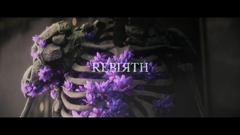 Rebirth