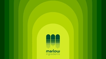Marlow Ingredients – Branding a Quorn division