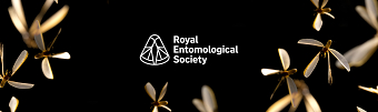 Organisation rebrand to modernise insect science