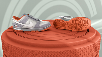 Nike Dunk Pigeon Shoe