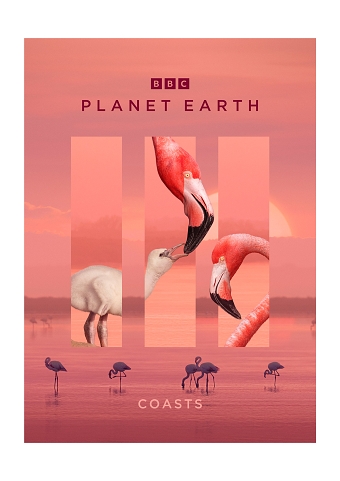 Planet Earth III Episodics