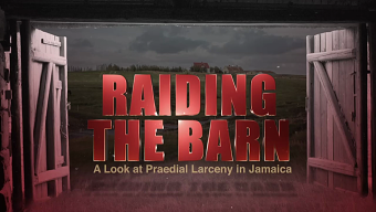 RAIDING THE BARN