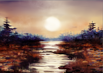 Winter's sun