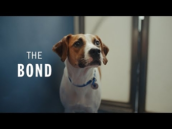 A Battersea Story - The Bond