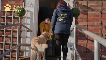 Guide Dogs