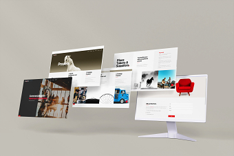 Agency Website and Brochure