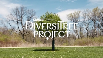 DiversiTree_Case Film