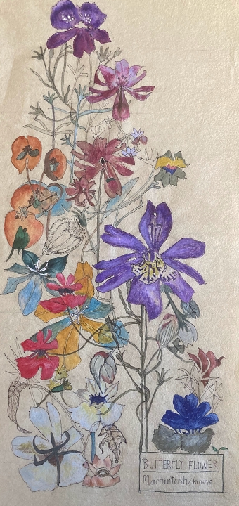 Botanicals (Kinuyo Ogino)