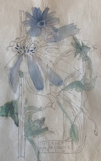Botanical (Maggie Donnelly)