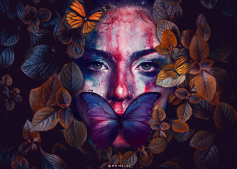 Clash of Colors