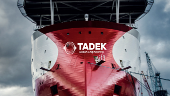 Tadek Brand Identity