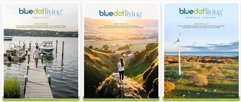 MARKETING STRATEGIES TO REACH SUSTAINABLE BRANDS