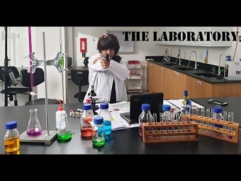 The Laboratory