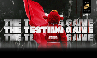 The Testing Game | MERIT WINNER Young Ones One Show