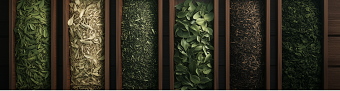 Branding | Premium tea , packaging, logo
