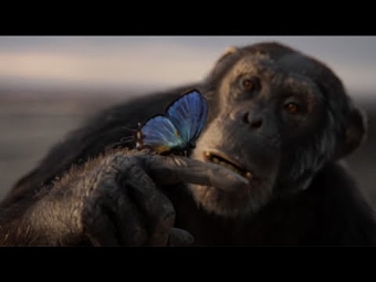 ROM Immortal: Nature's Symphony