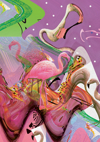 Flamingo Acid Trip. Graphic Art