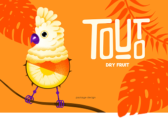 Packaging design. Dry Fruit Touto