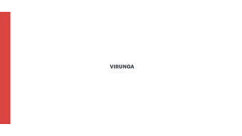 VIRUNGA BEER PACKAGING DESIGN