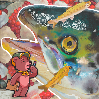 A Bear's Illustrated Guide to Salmon