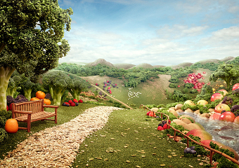 Fibre Landscape