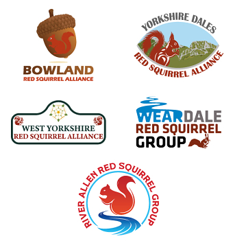 Logo design for eight red squirrel groups in the UK