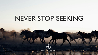 Wild Frontiers - 'Never Stop Seeking'